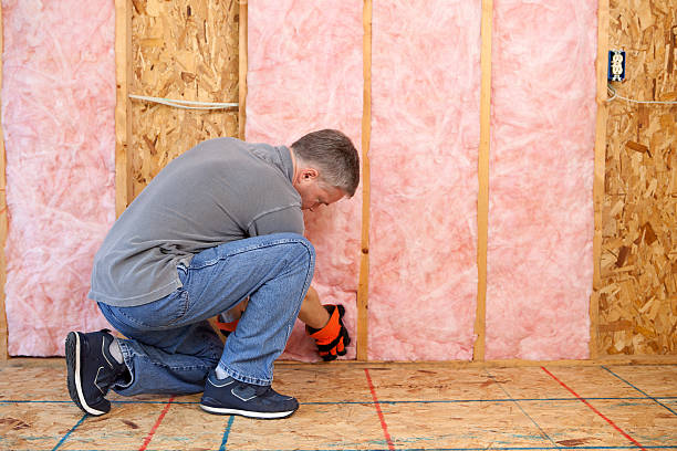 Best Crawl Space Insulation  in Longbranch, WA